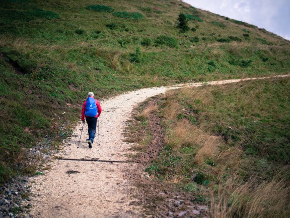 Giorgio Minguzzi - Nordic Walking