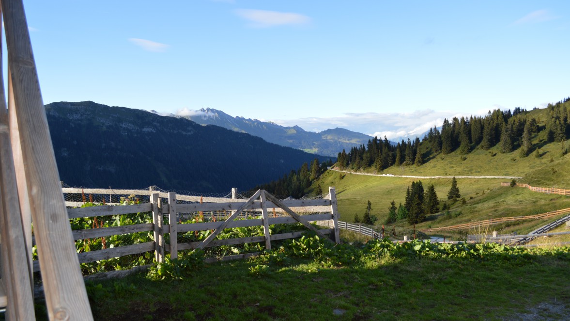 Panorama malga montagna Racines